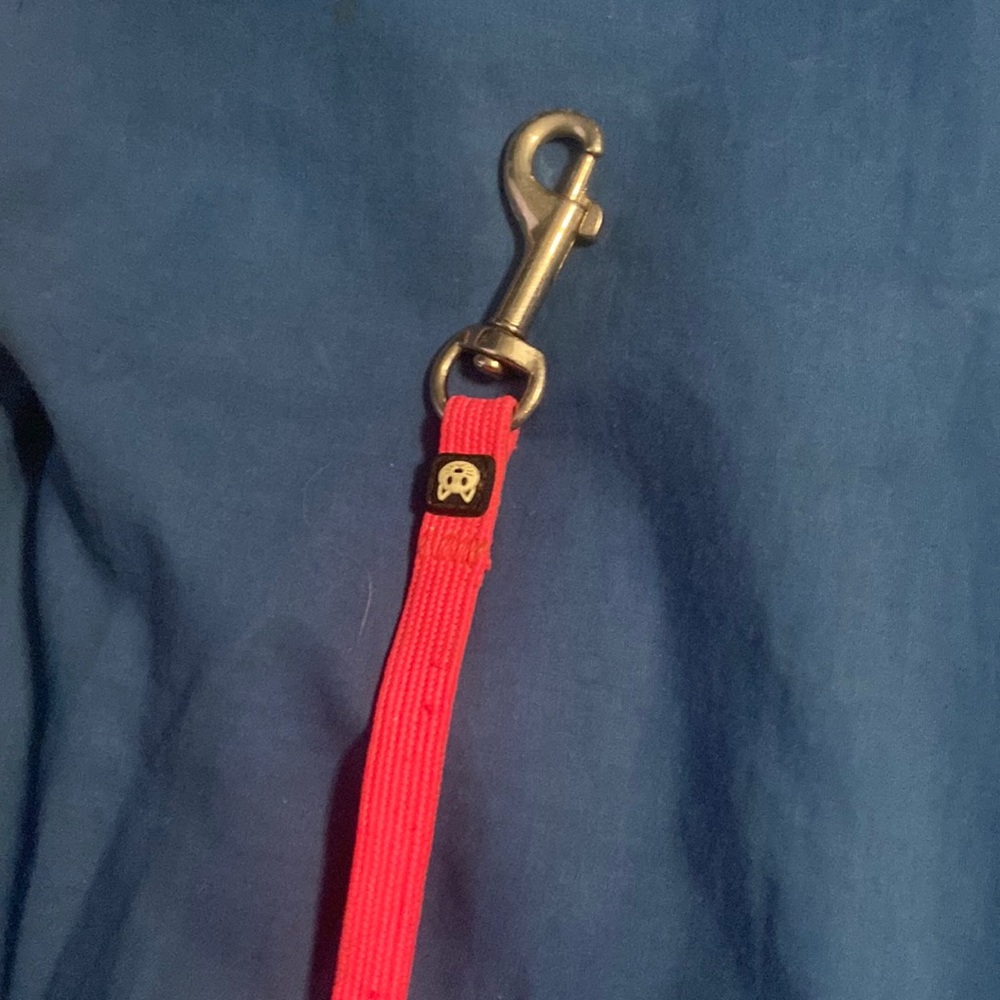 Cat leash, size small, pink